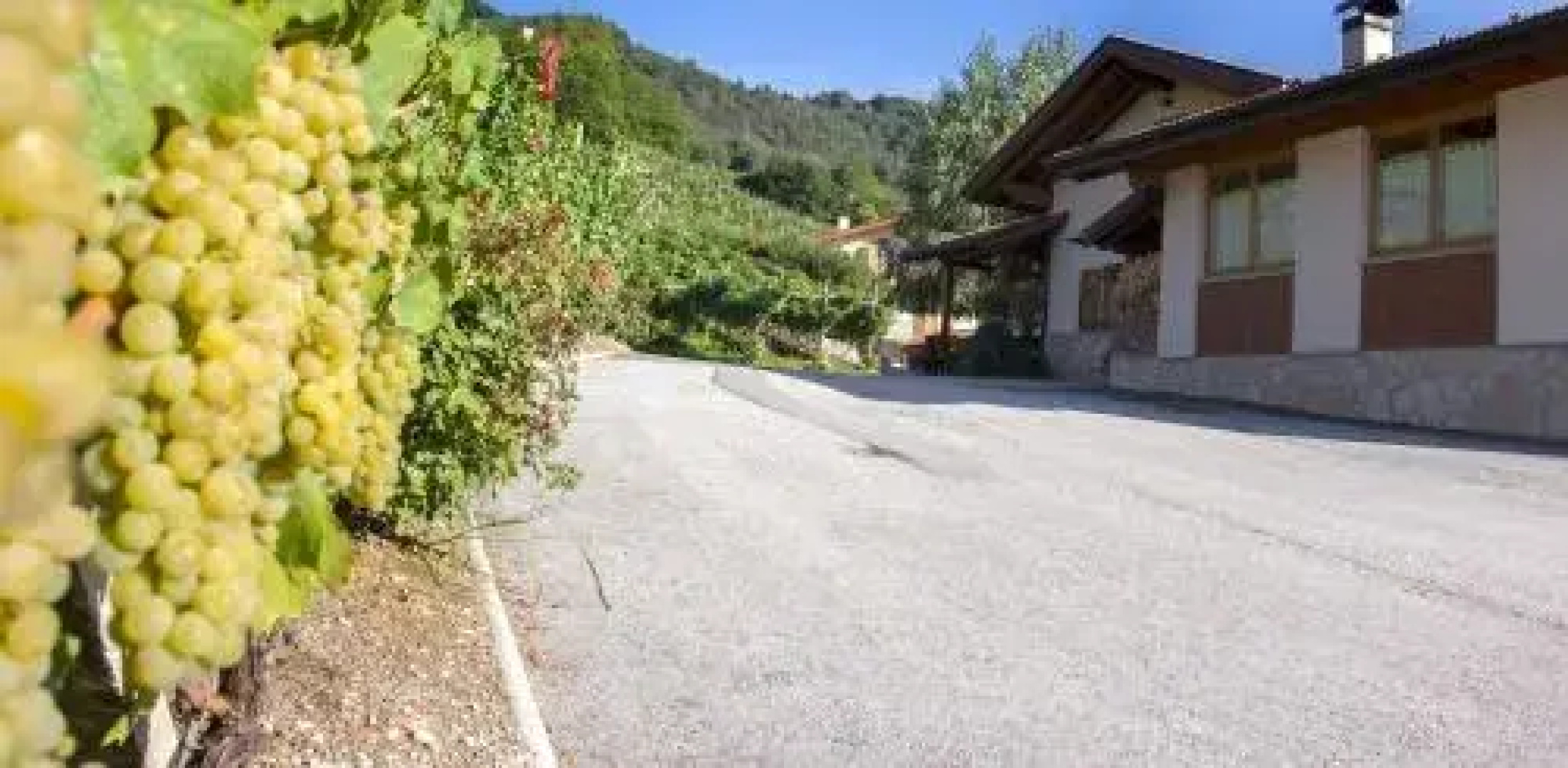 B&B Casa Zeni