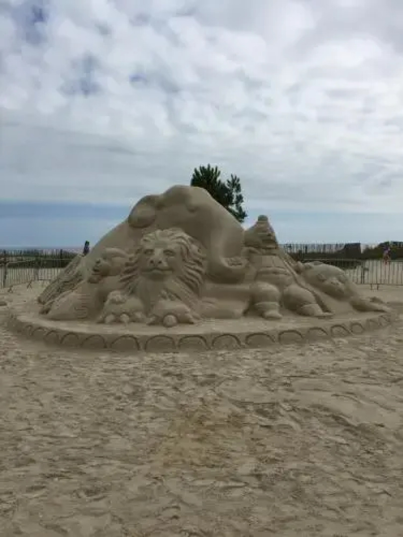 Camping les Palmiers