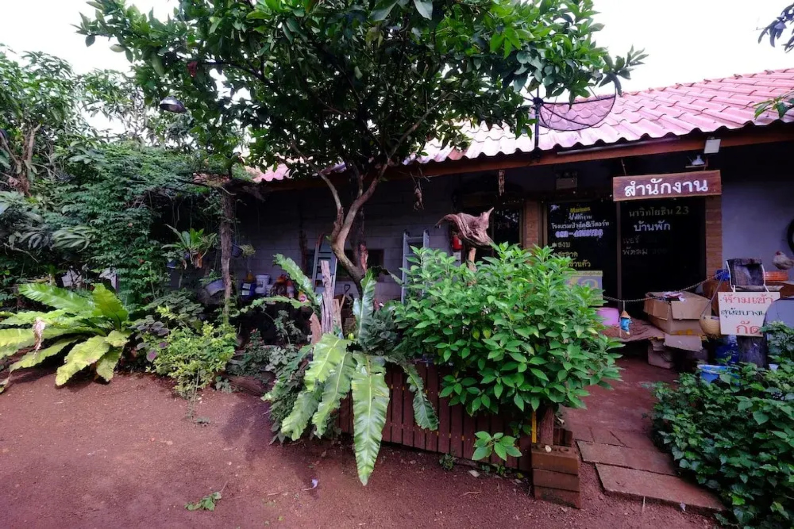 Pasak Resort Sawang Dandin