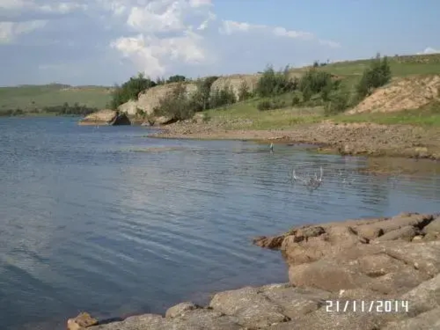 The Phatt Chef Roadside Diner and BB