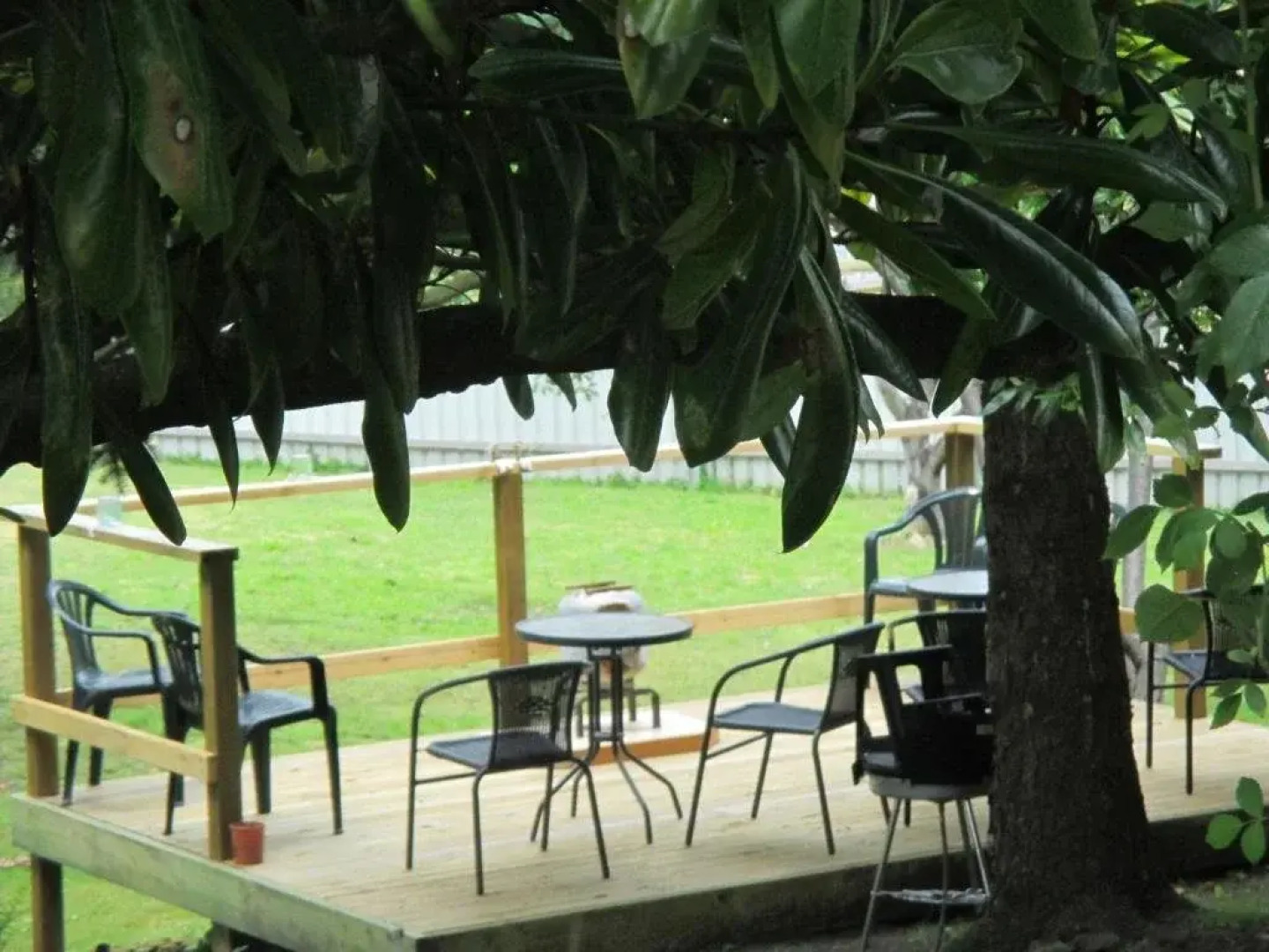 Cygnets Secret Garden