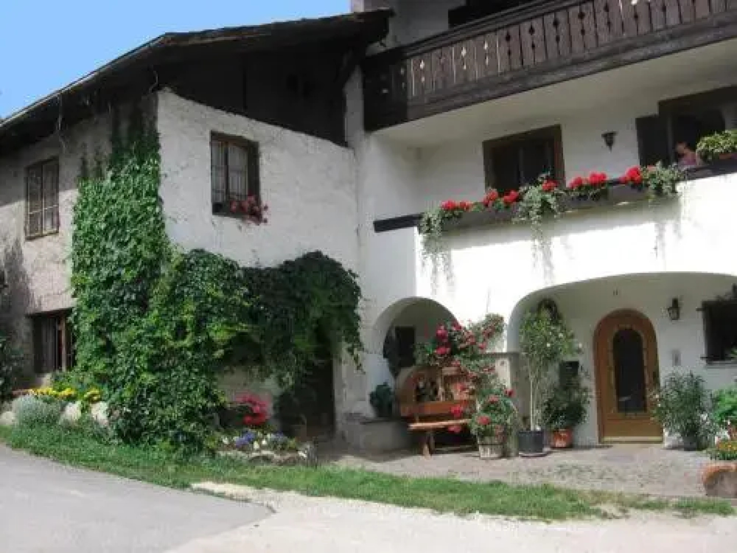 Berggütl