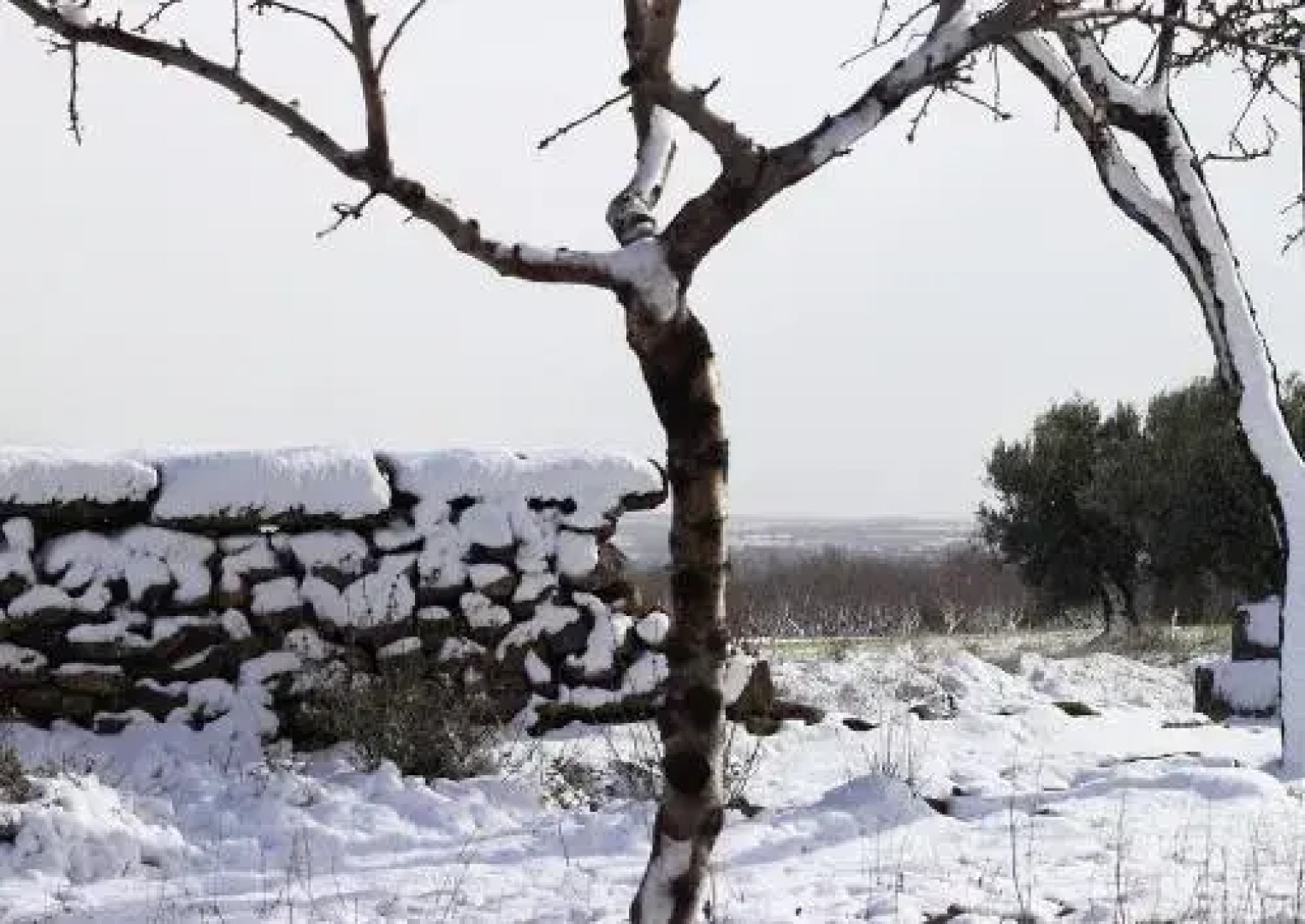 Casa Salto de Roldán