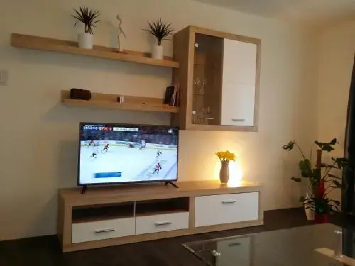 Apartmán U Labe