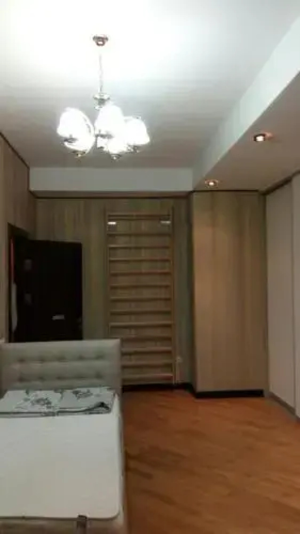 Dilyara Alieva 237 Apartment