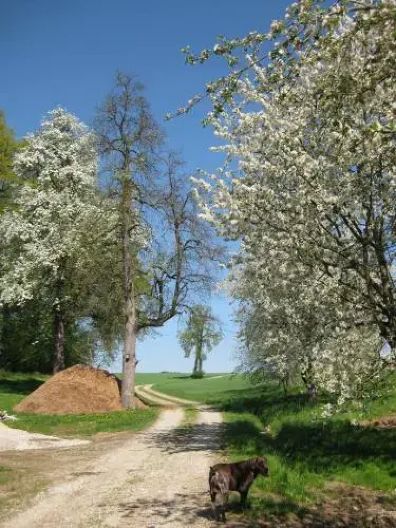 Ferienhof Rieger