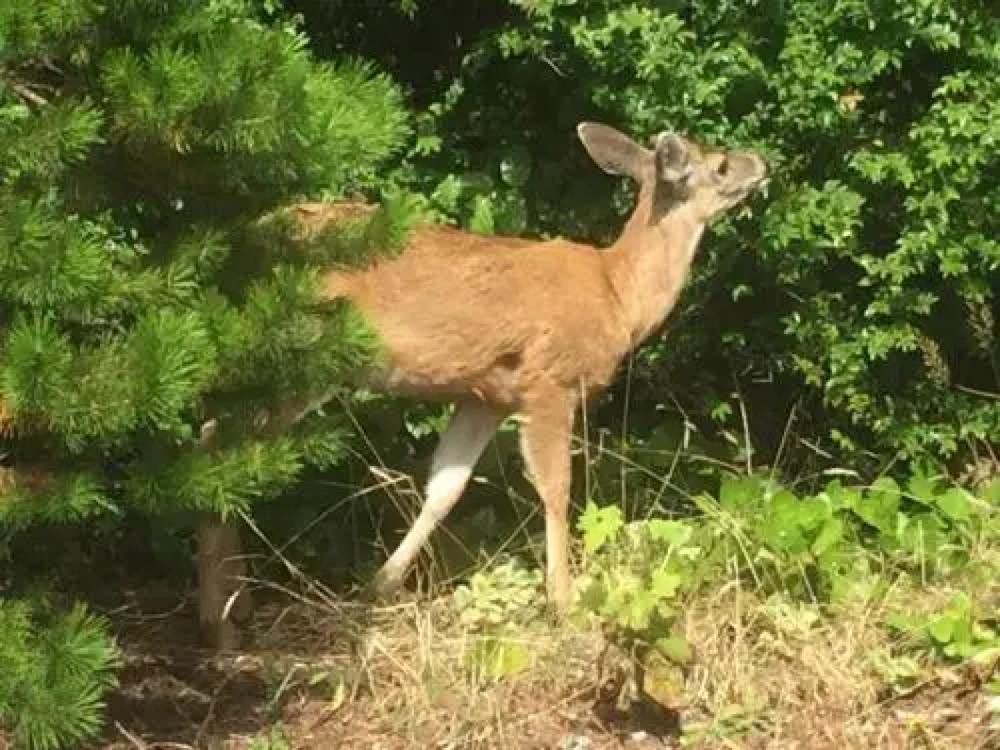 The Lighthouse Bed and Breakfast