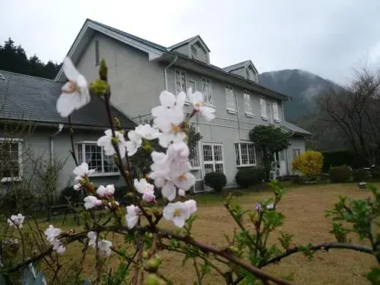 Auberge Shikinouta