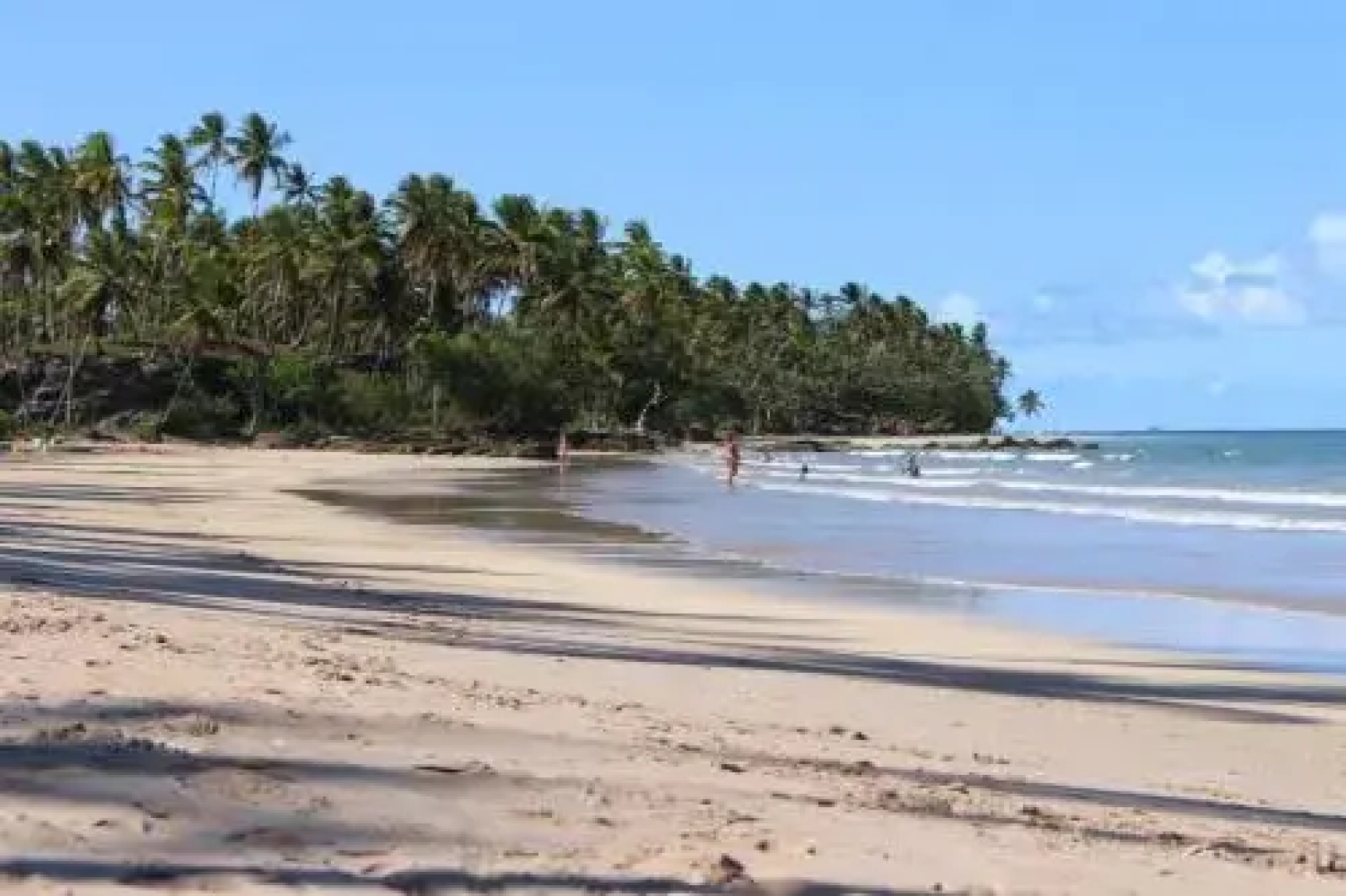 Camping Flor Do Cerrado