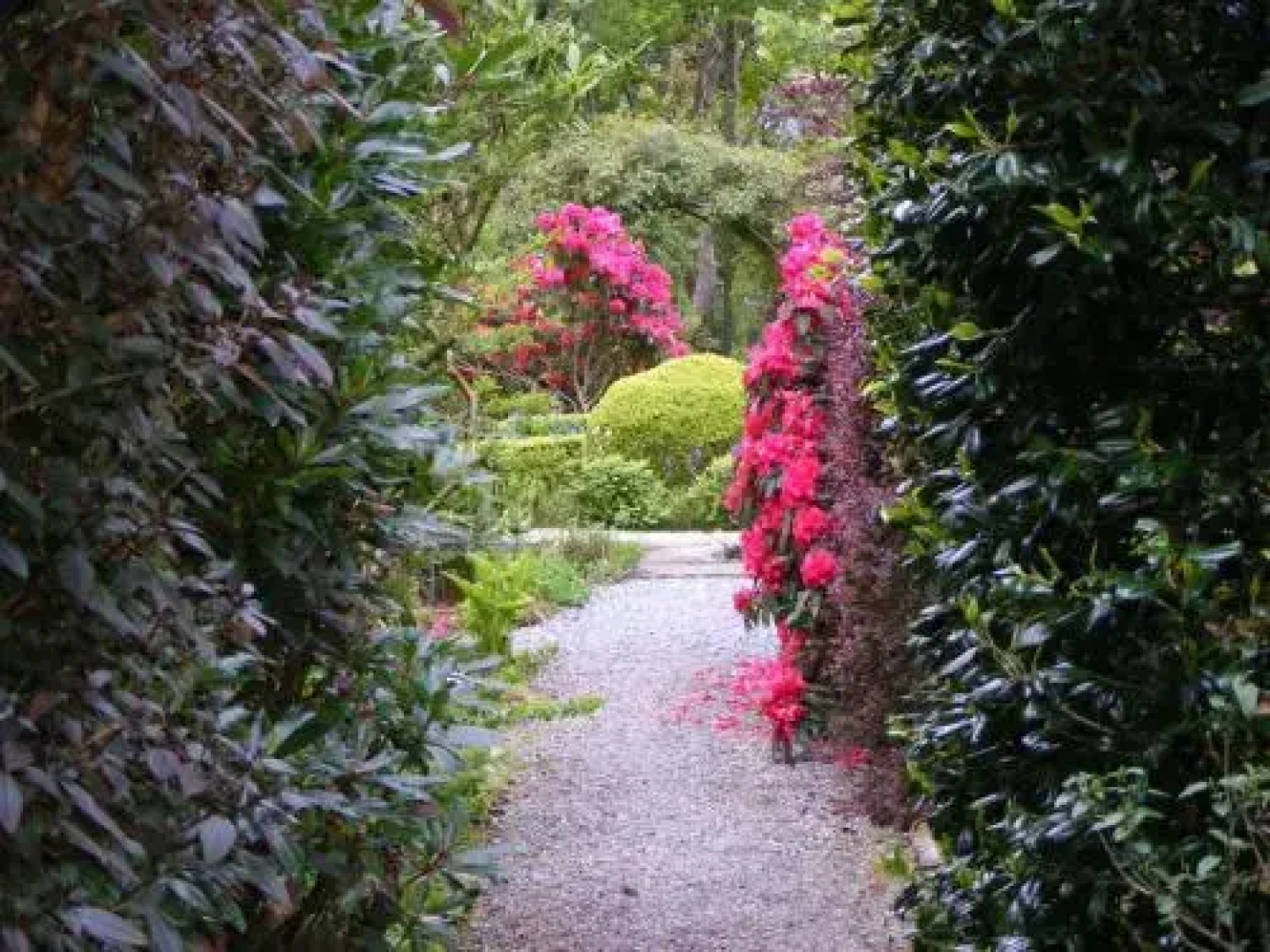 Bleanaskill Lodge & Achill Secret Garden