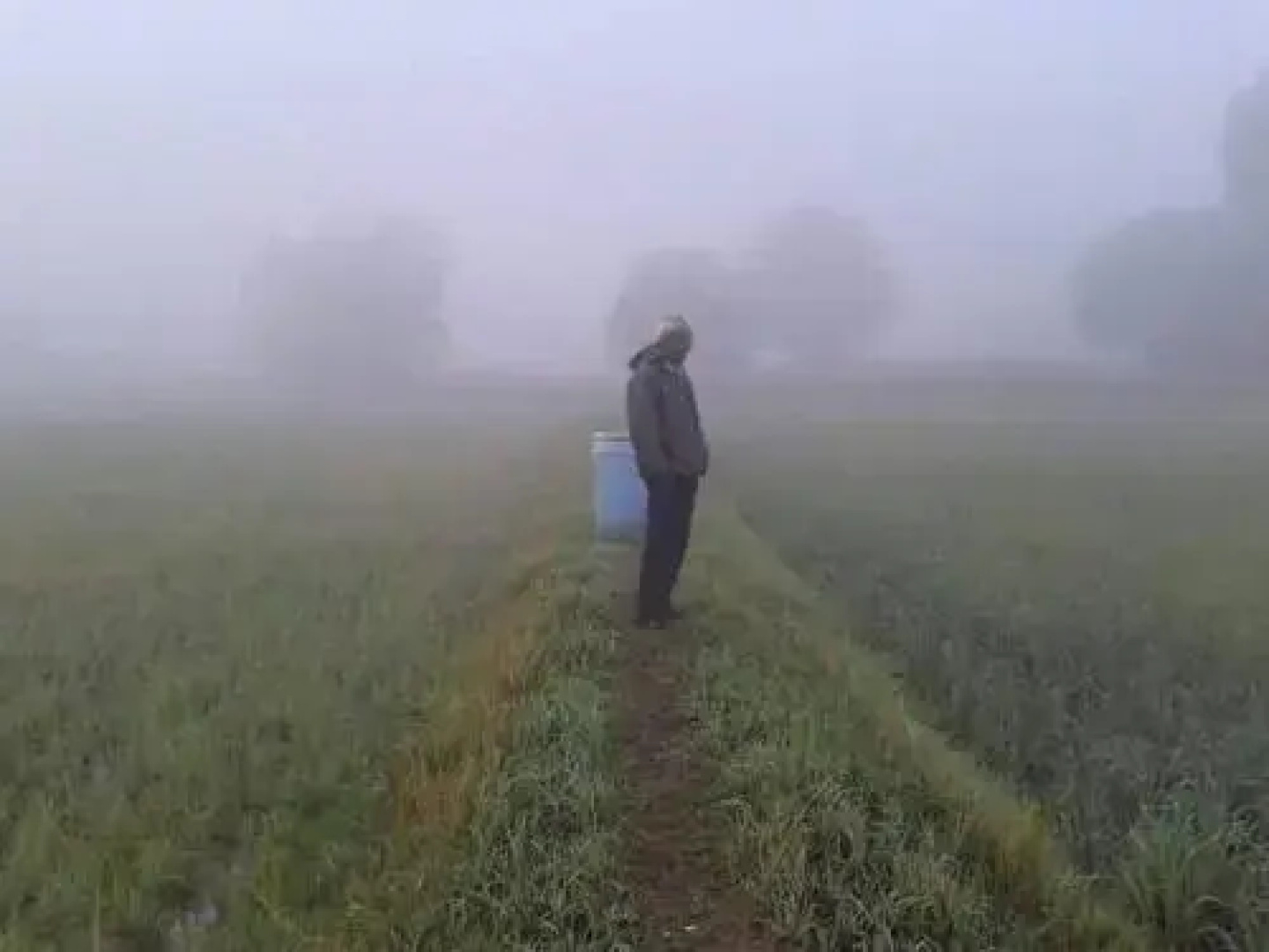Nana Organic Farm