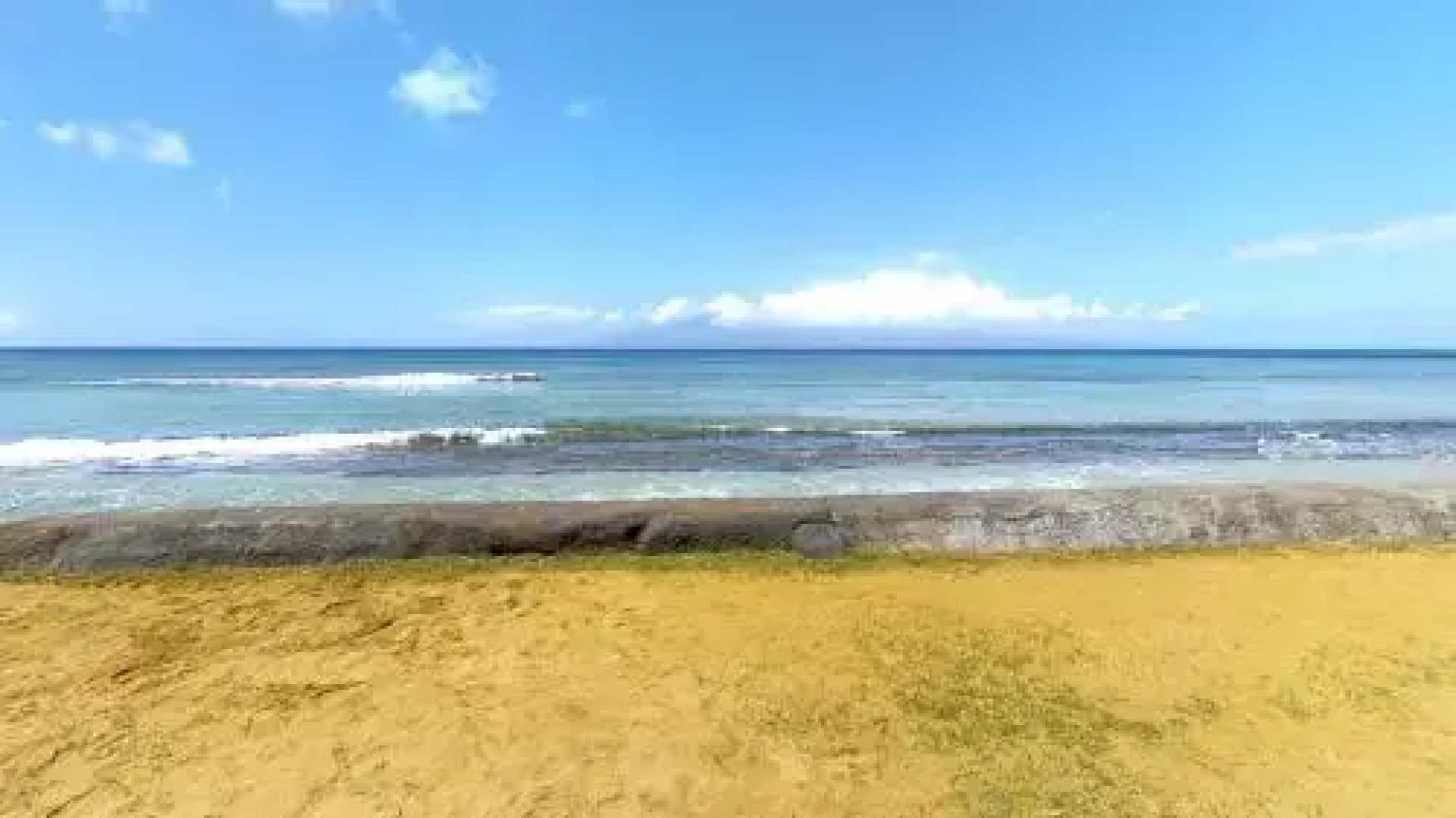 Maui Sands #4B
