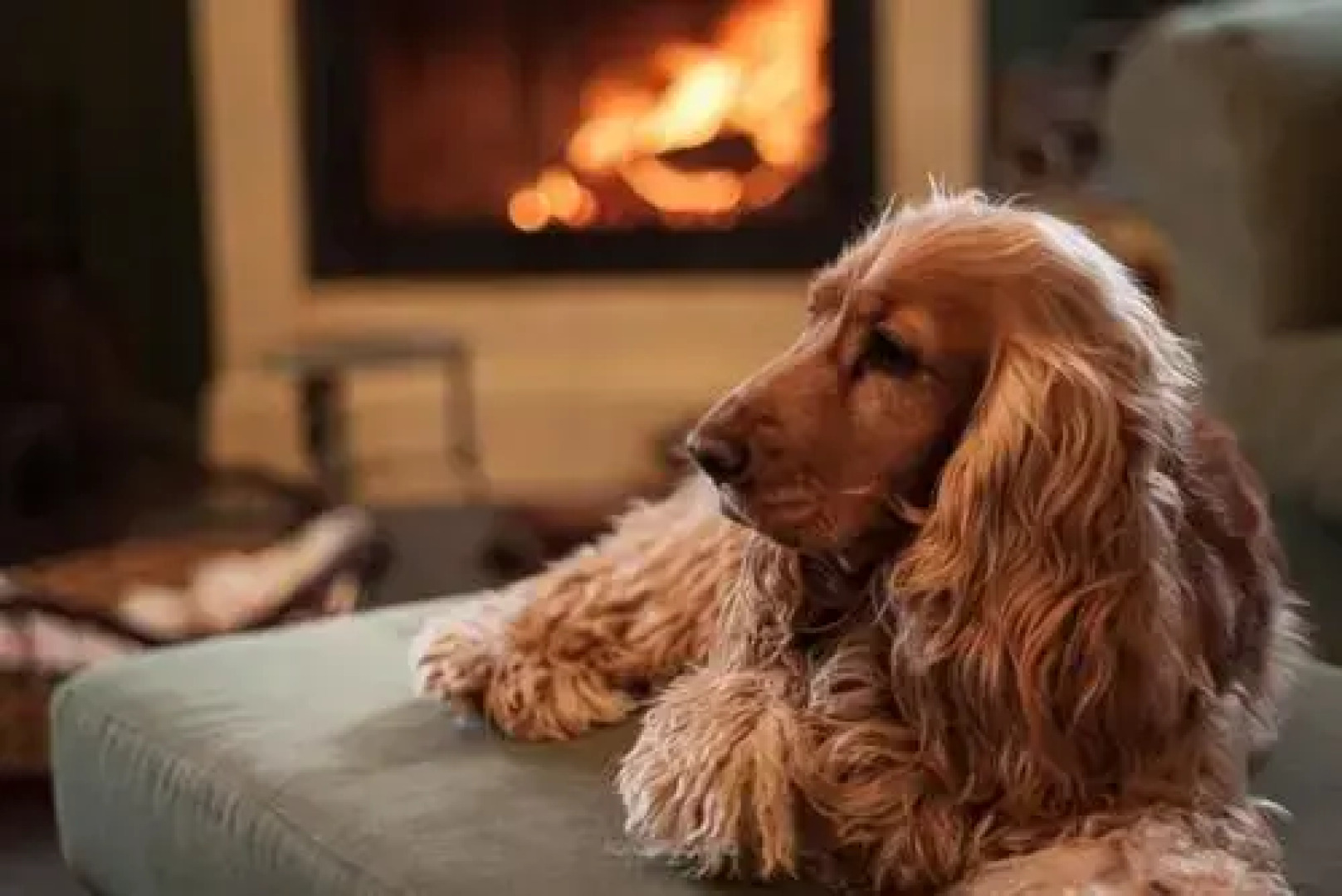 Rose e Cioccolato B&B