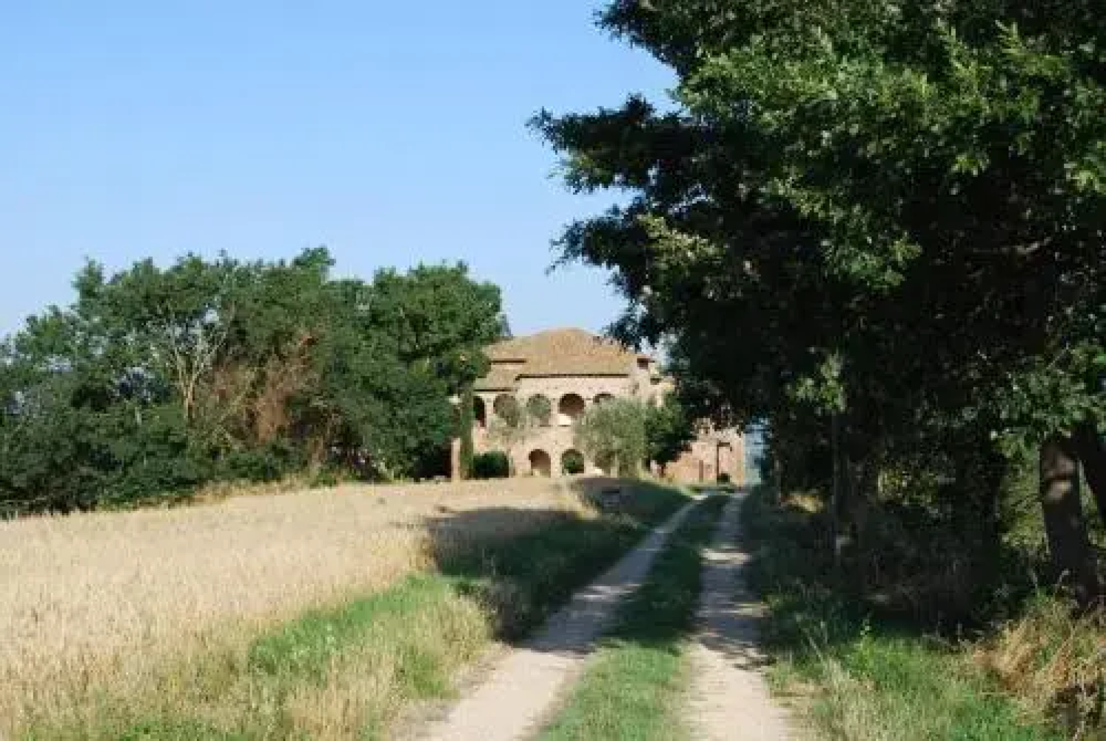 Il Macchione