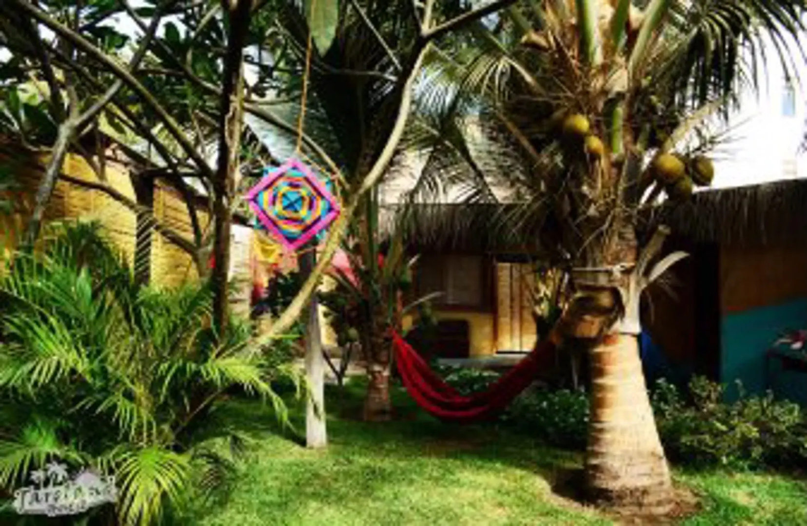 Taroland - Hostel