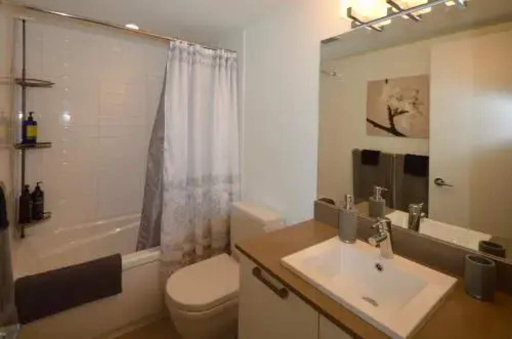 Sundial Suite