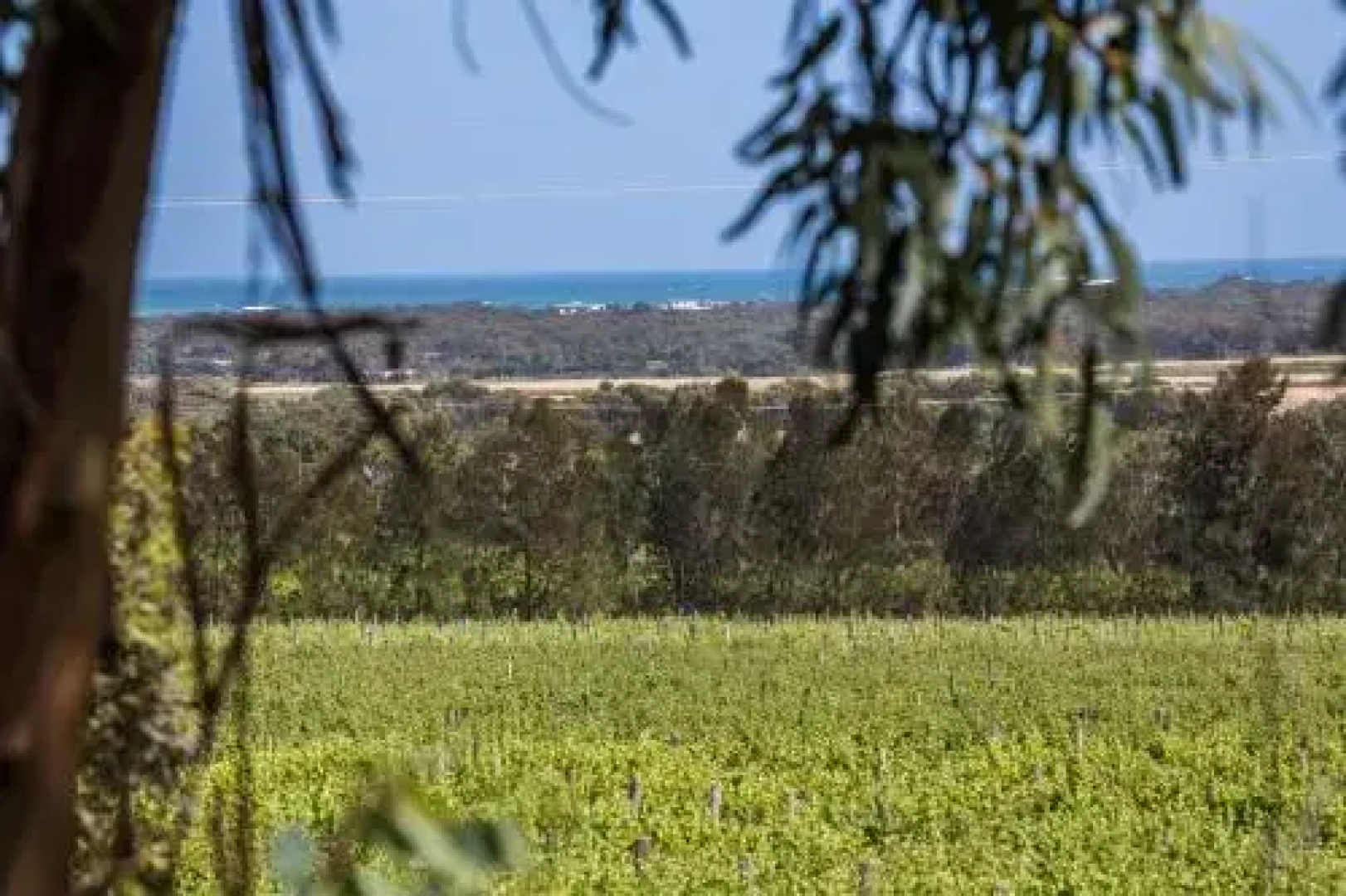 Sellicks Chills Holiday Retreats