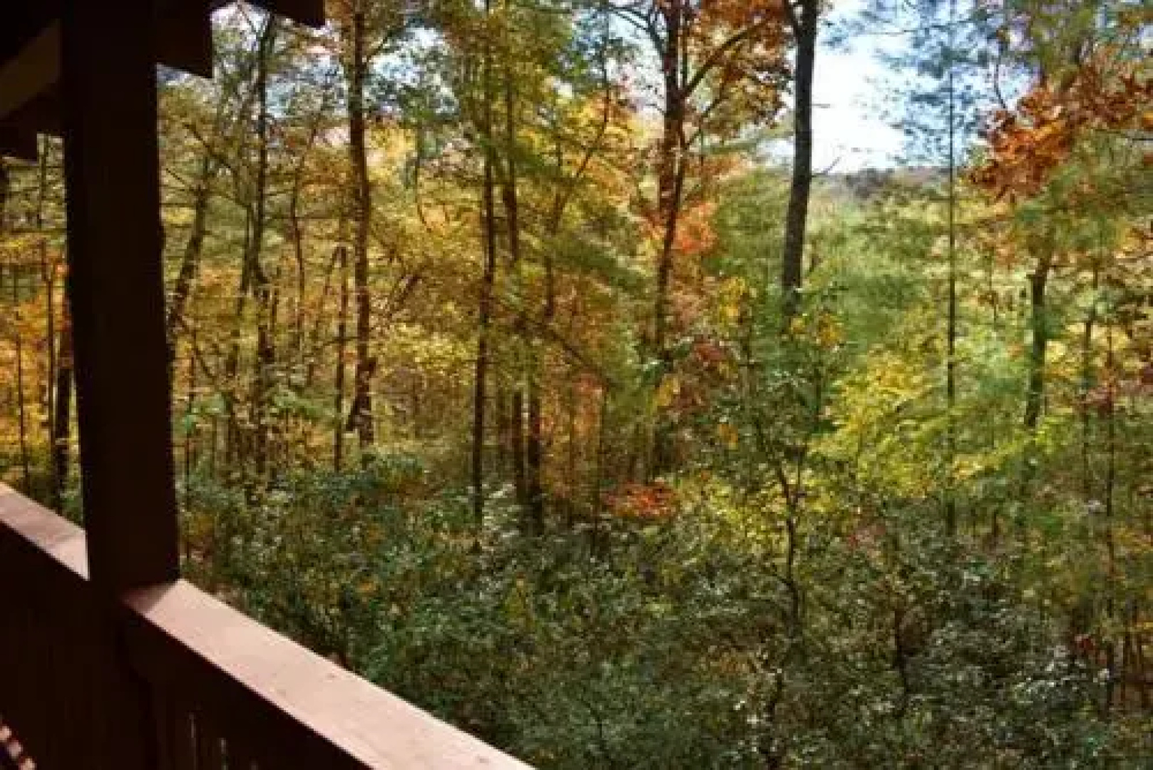 Papa Bears Den