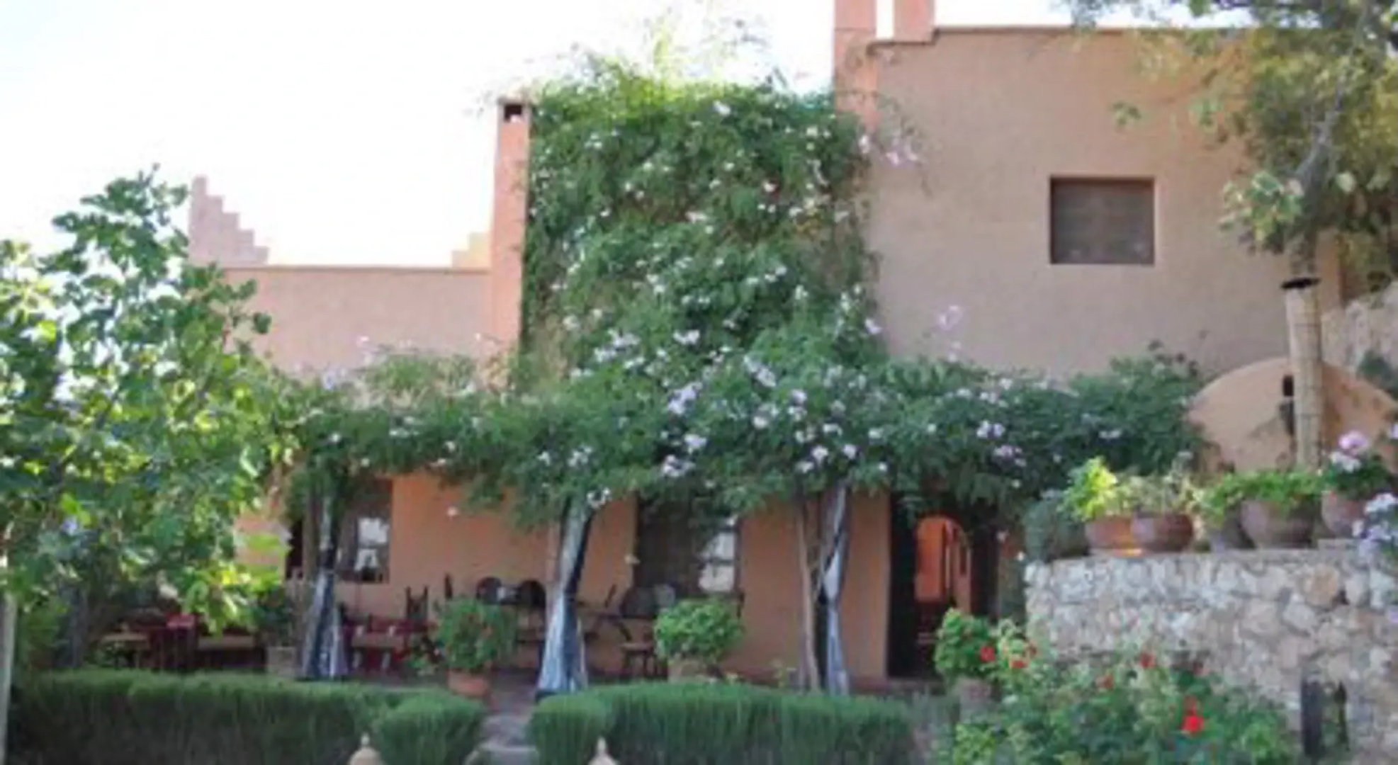 Dar Zitoune - Guest House