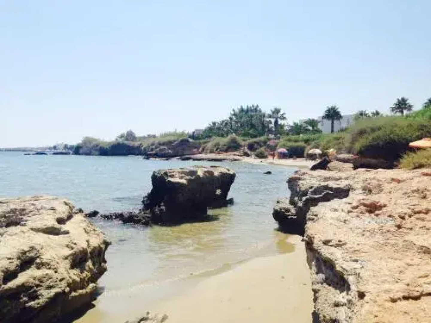 Flora & Agelos Studios