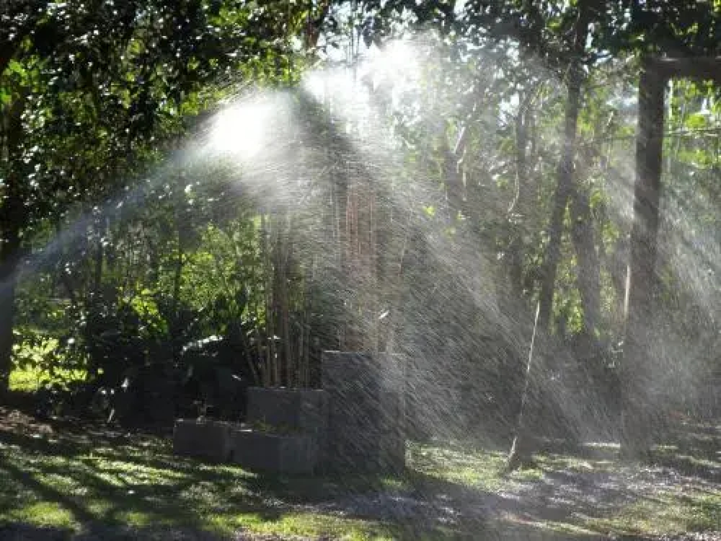 Apartamentos La Bella Vida