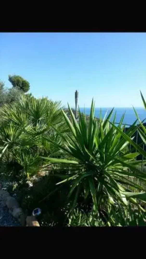 Message in a Bottle Bed & Breakfast