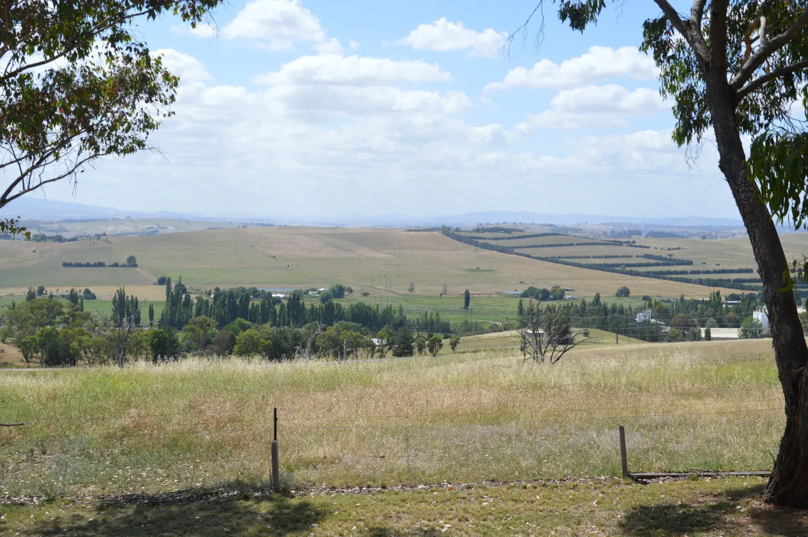 Bathurst Goldfields