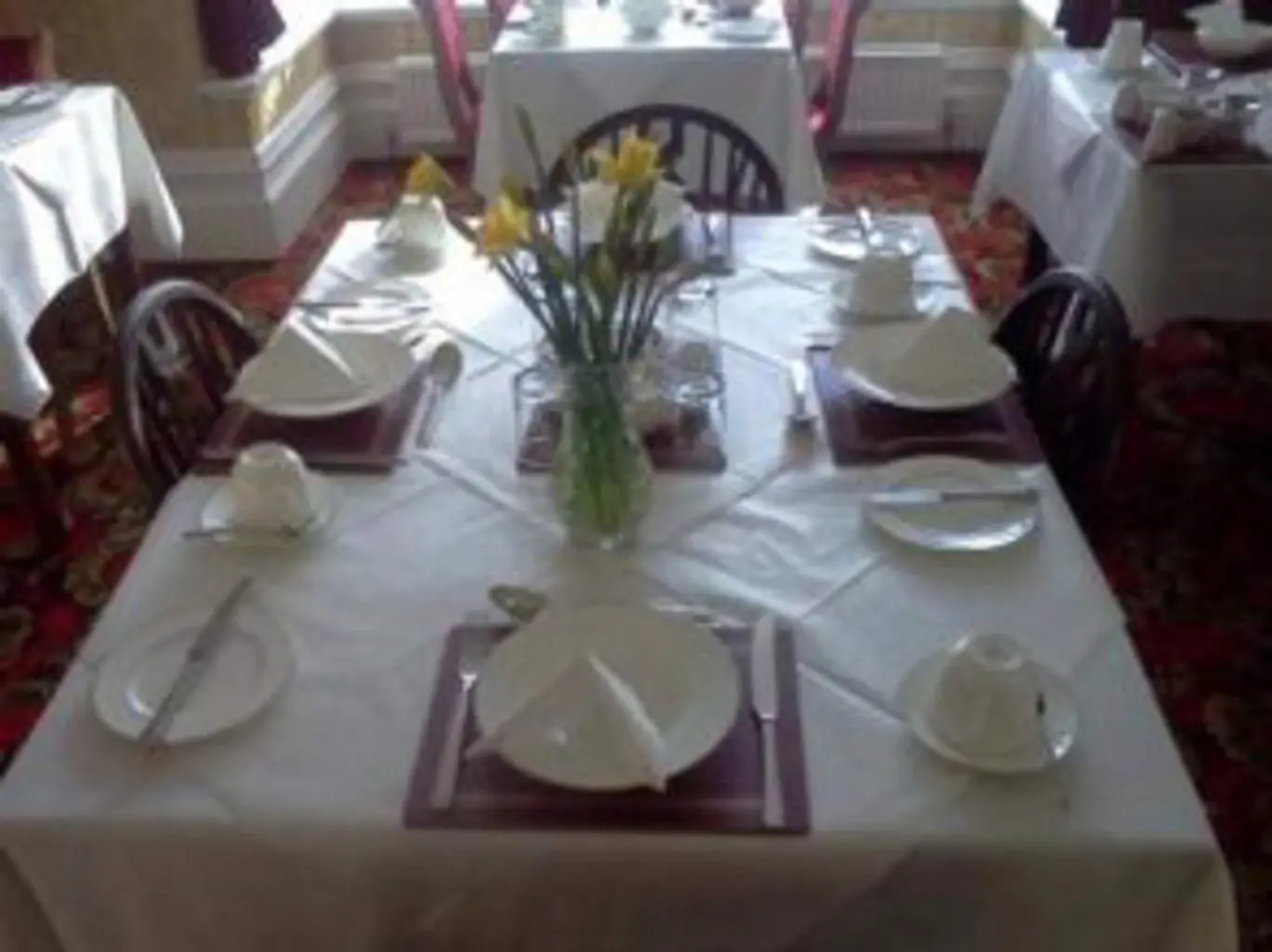 The Lawn Guest House