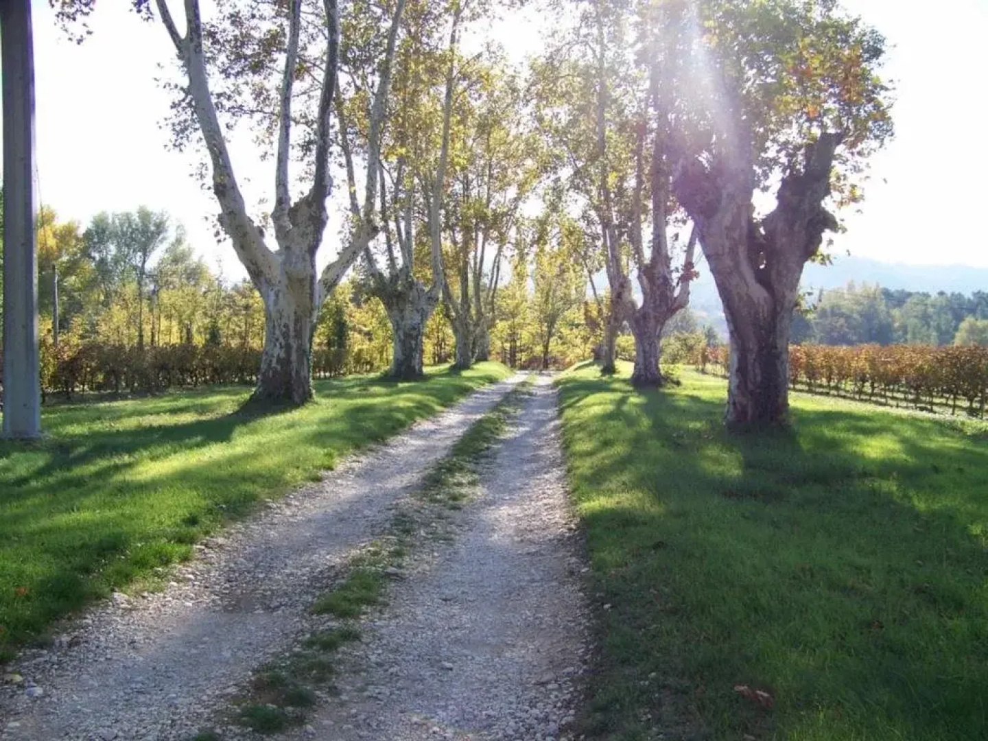 Le Leyrac