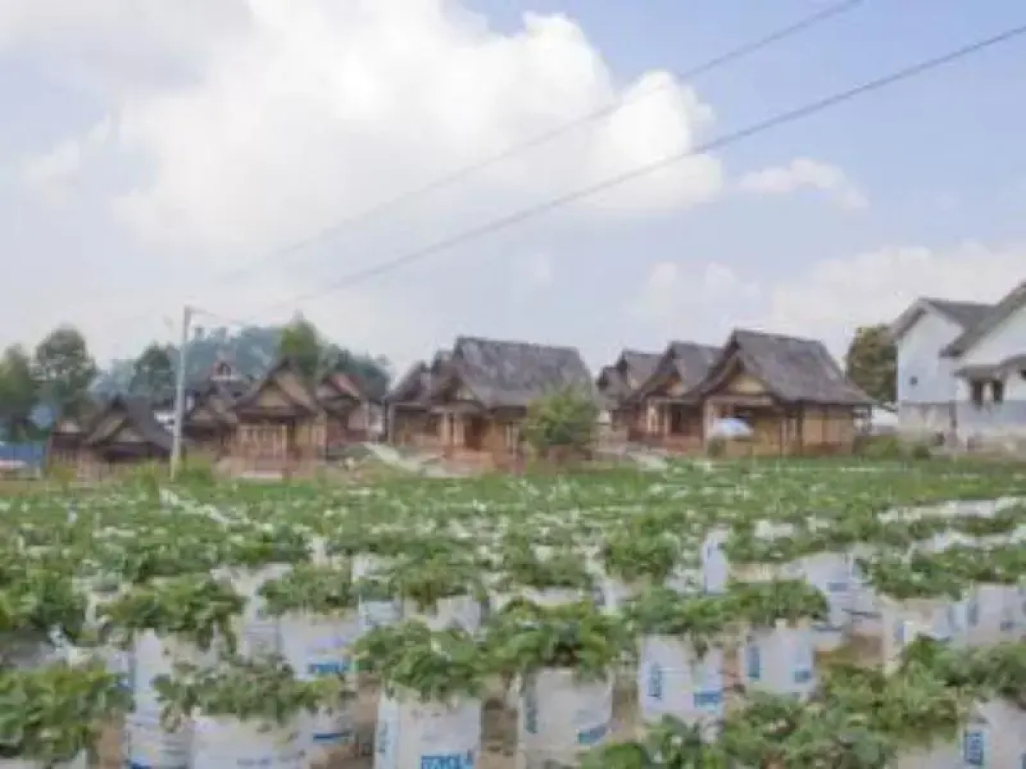Sawung Gawir Restaurant and Bungalow Ciwidey