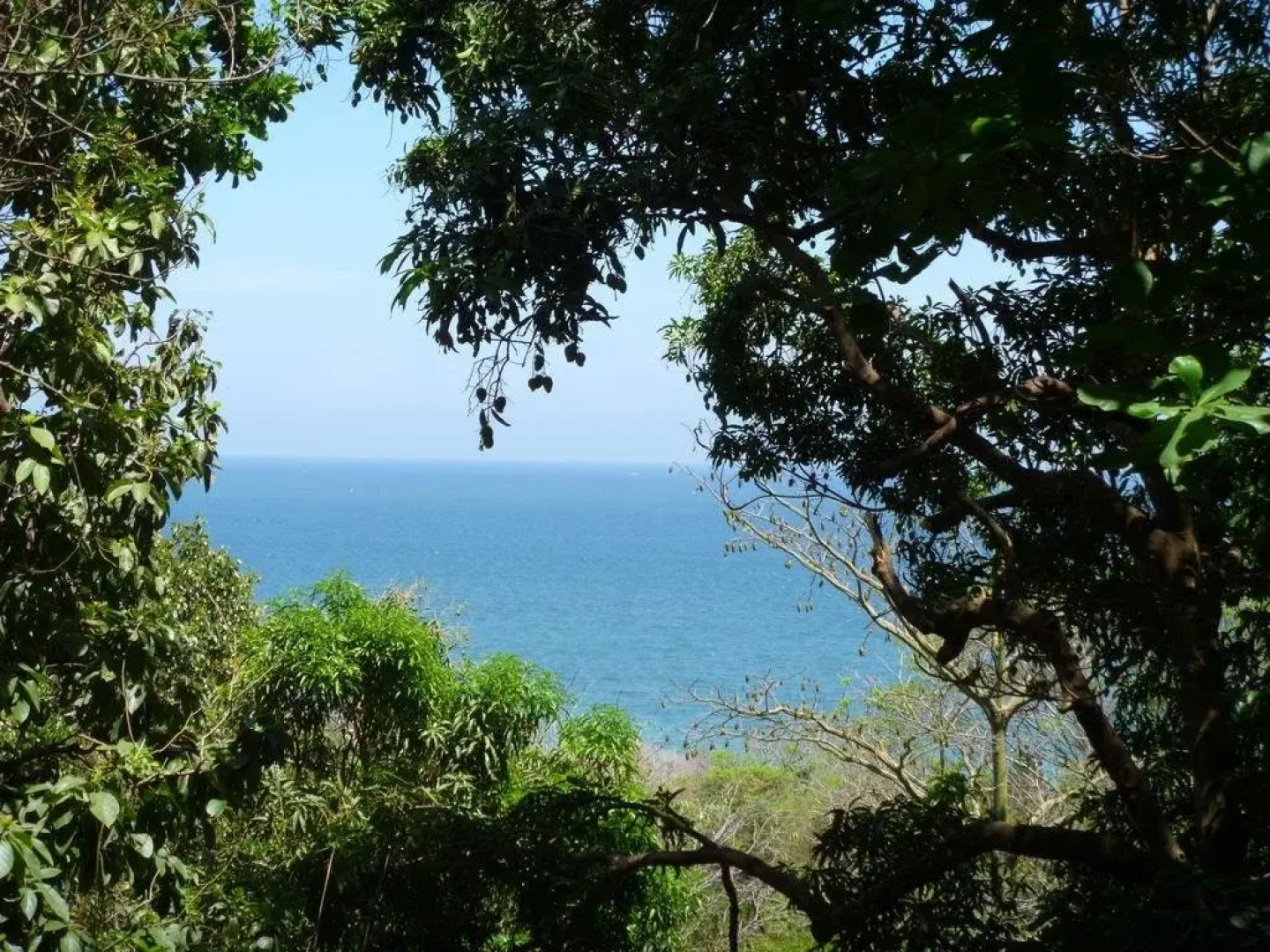 Luz En El Cielo Eco-B&B/Hostel