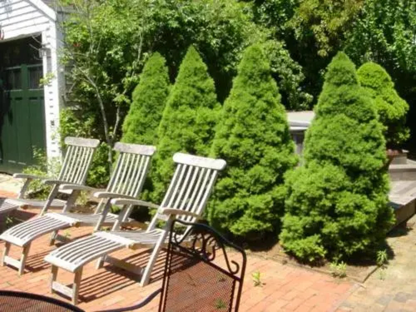 The Summer House India Street