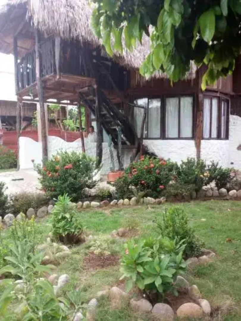 Cabaña Ecologica Palomino