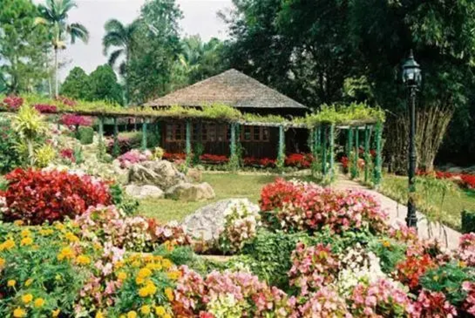 Krisdadoi Chiang Mai