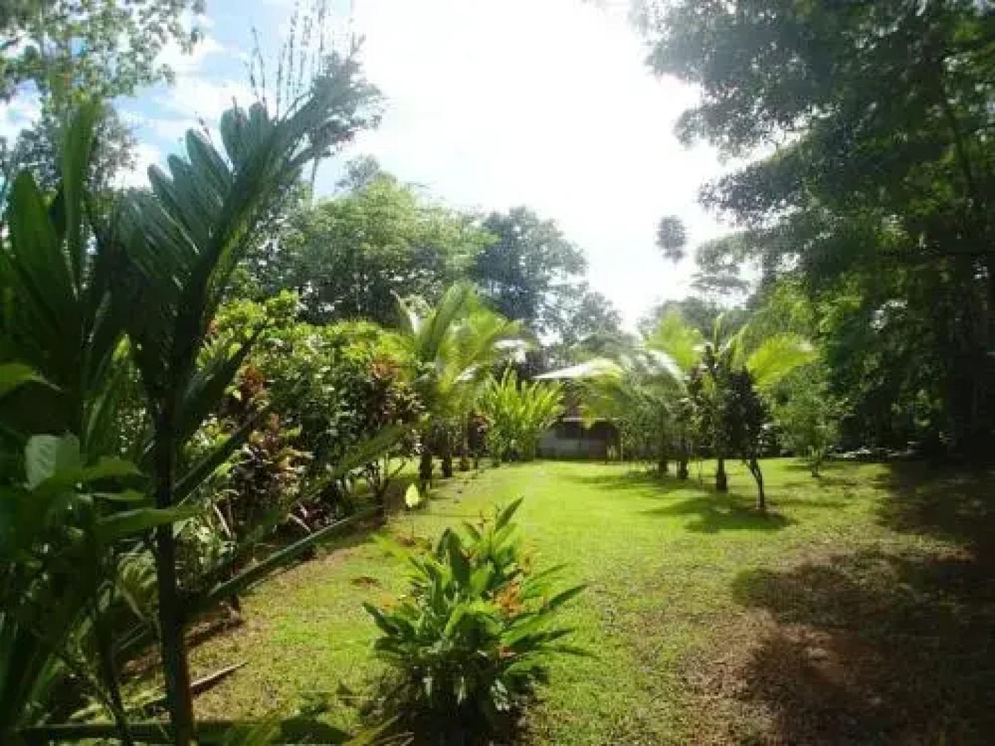 Corcovado Backpackers & Guest House