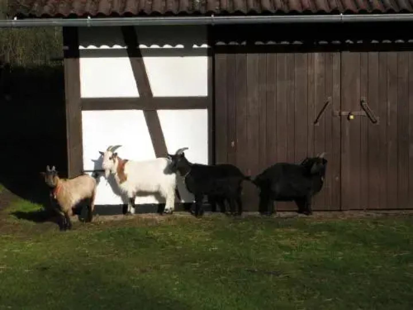 Ferienwohnung Hubner