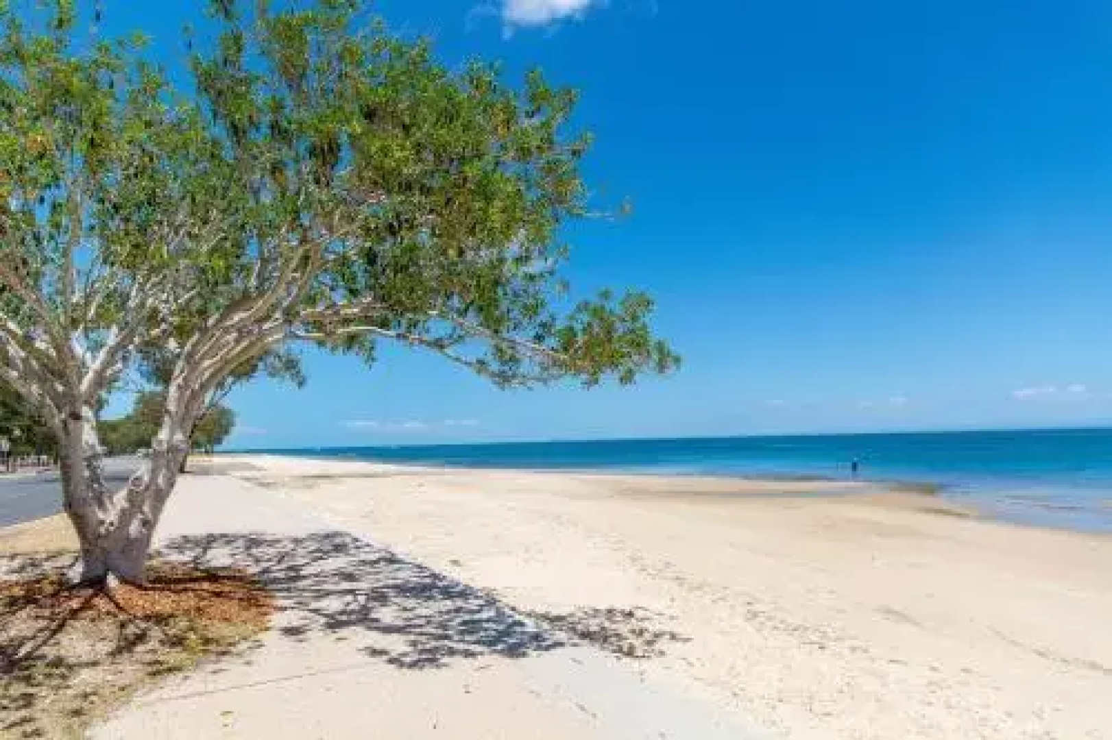 Spectacular Unit Overlooking Pumicestone Passage - Welsby Pde, Bongaree