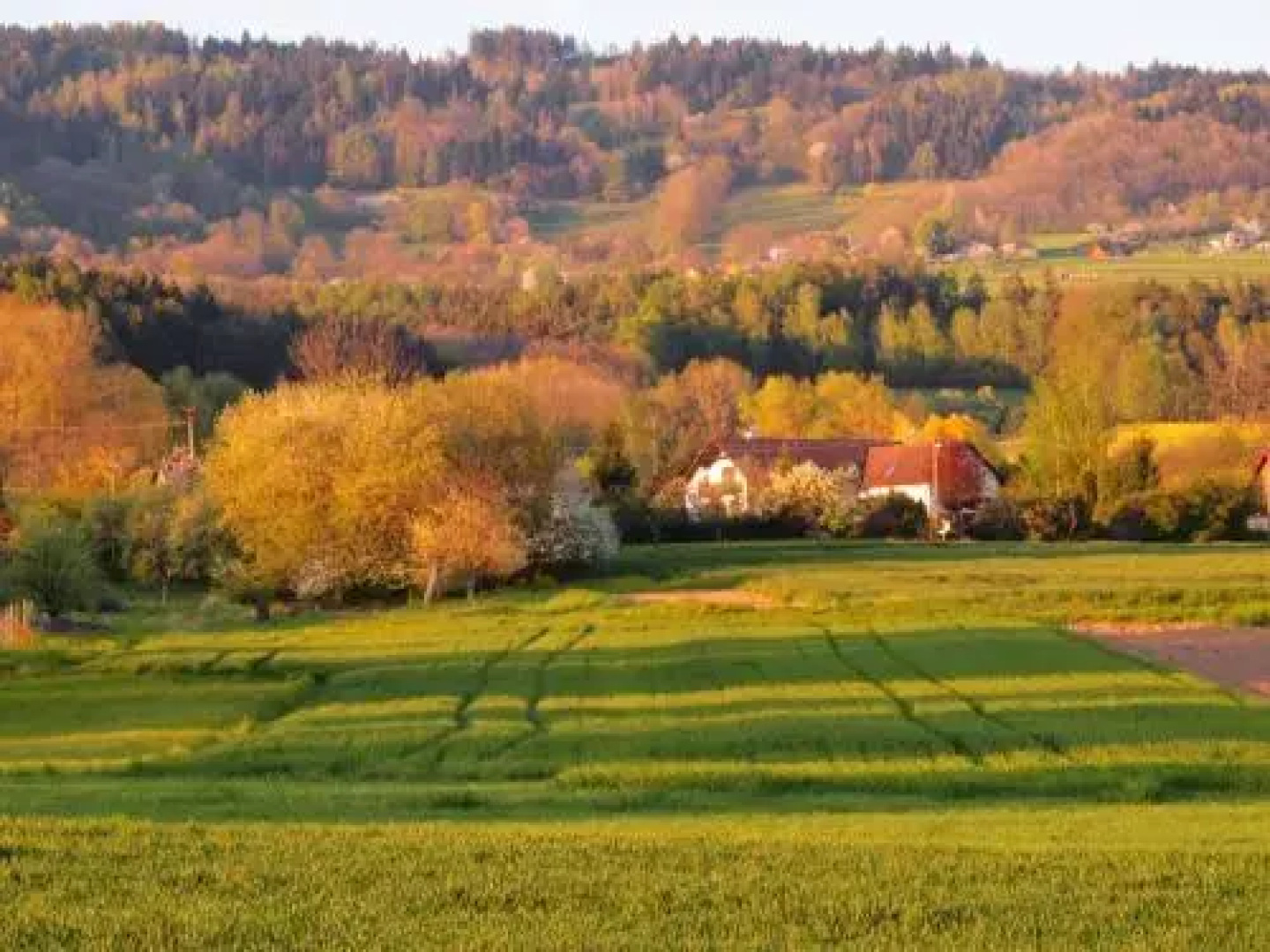 Apartmány pod Kozákovem