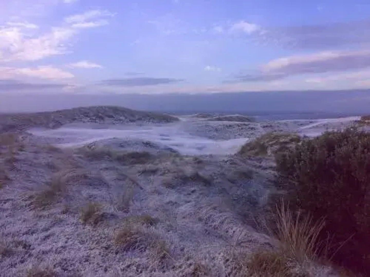 Seanor House Bed & Breakfast