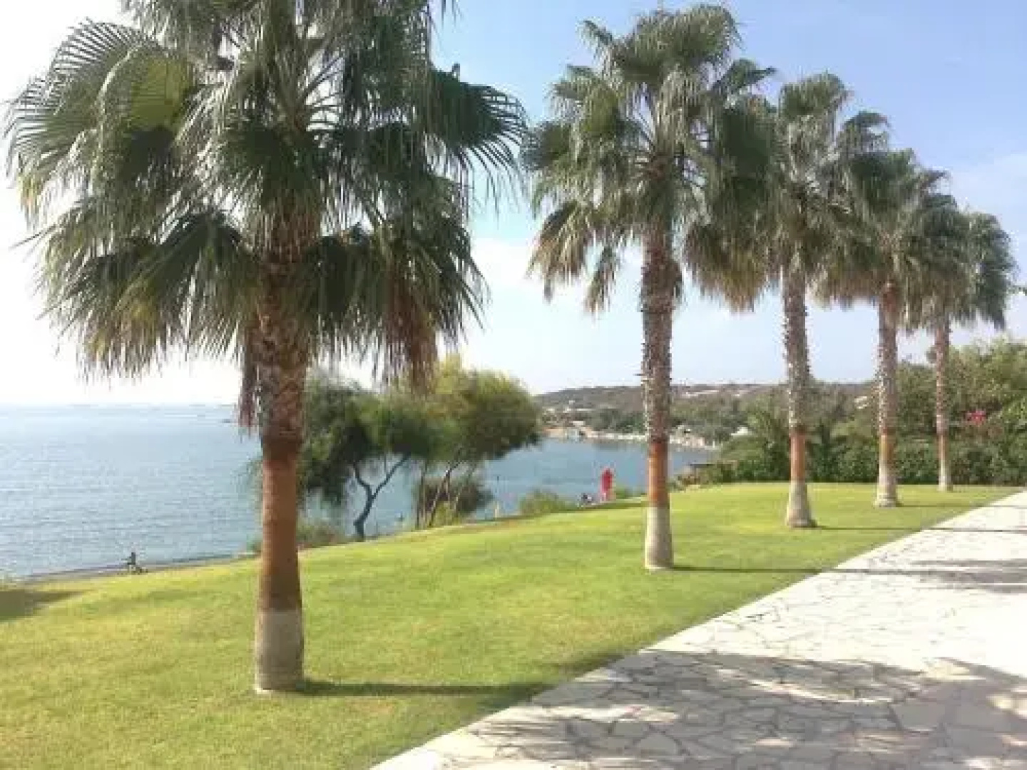 Cyprus Studio