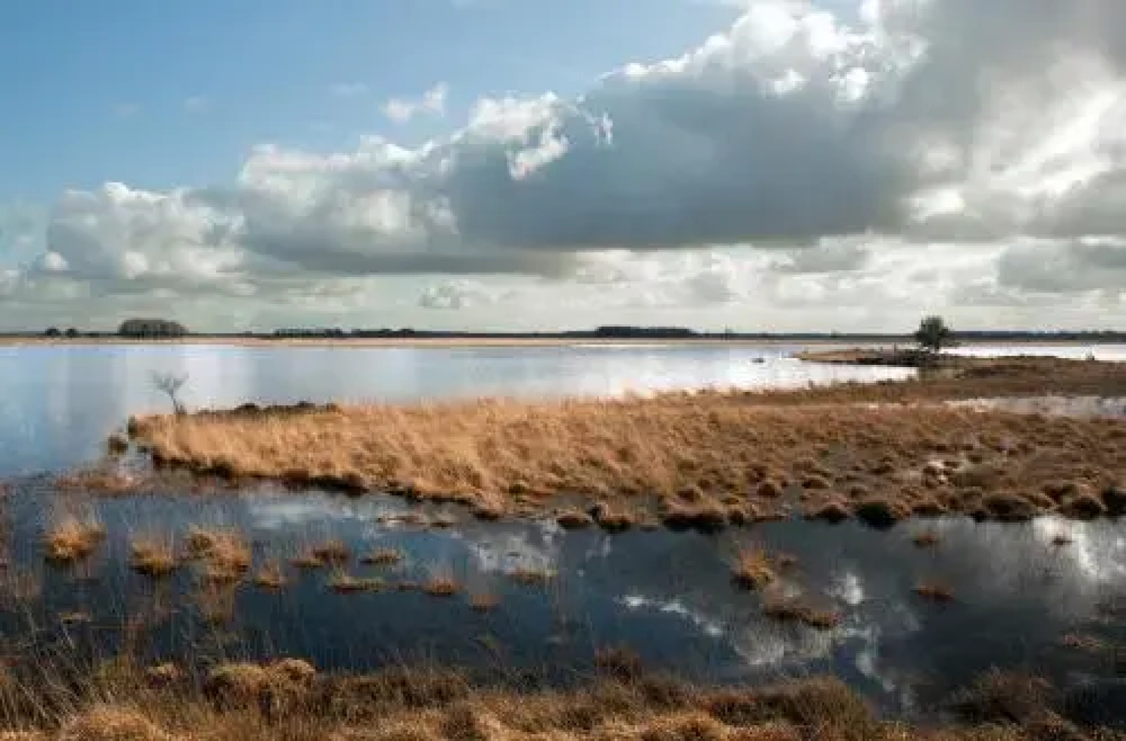 Vakantiepark Bosmeer