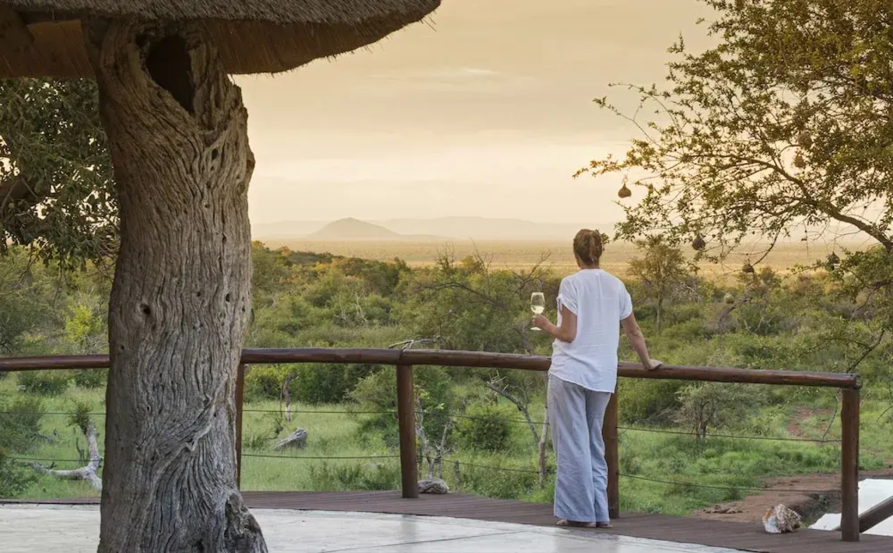 Royal Madikwe Luxury Safari Lodge