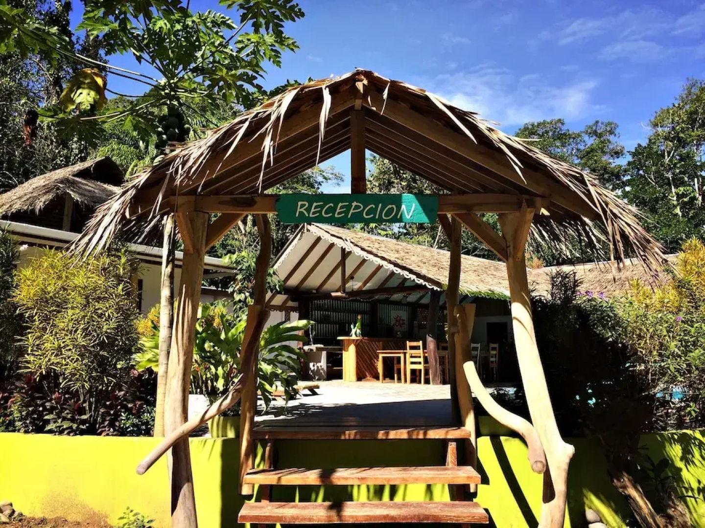 La Rana De Cahuita