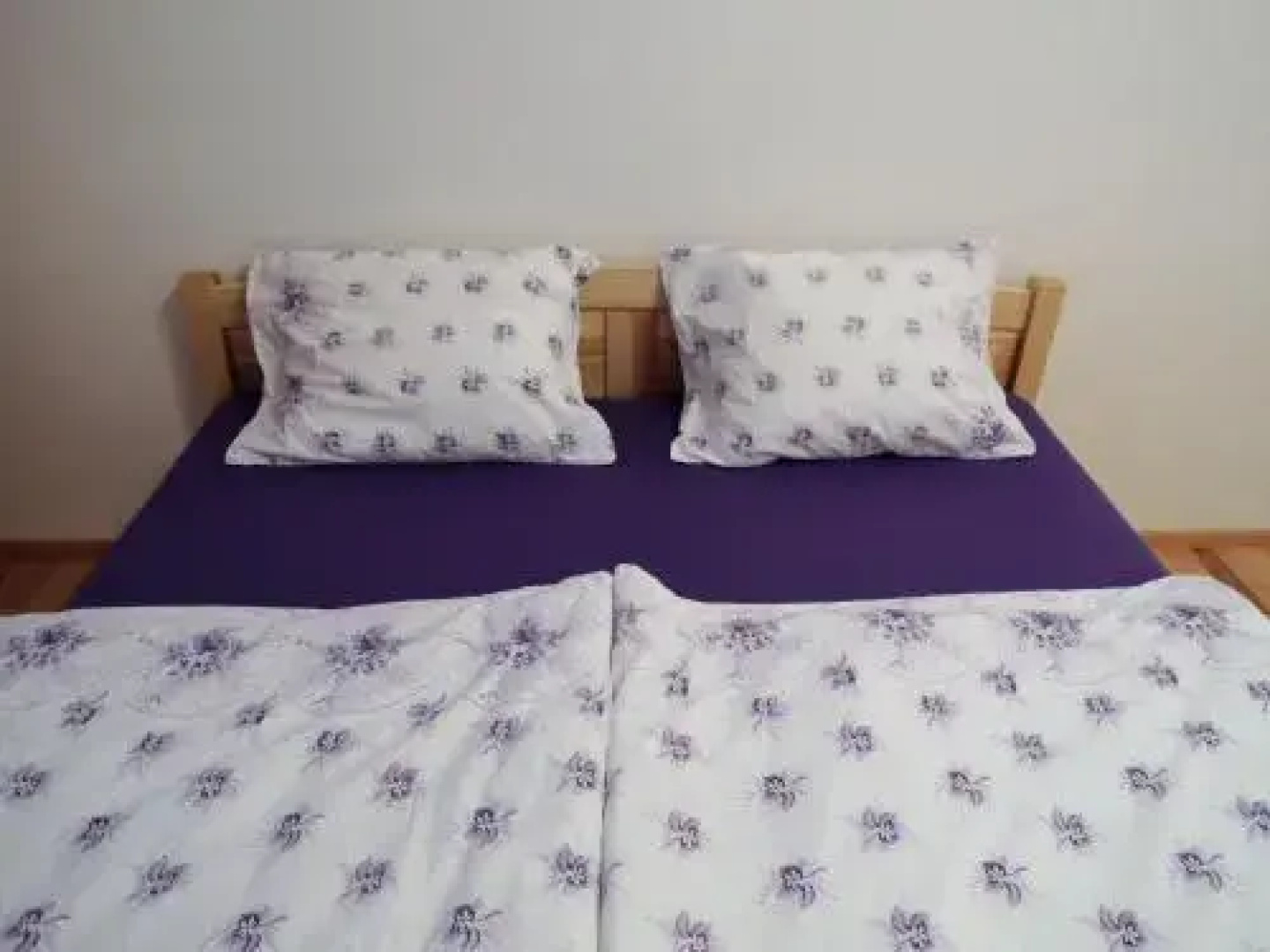 Apartment Žižkov