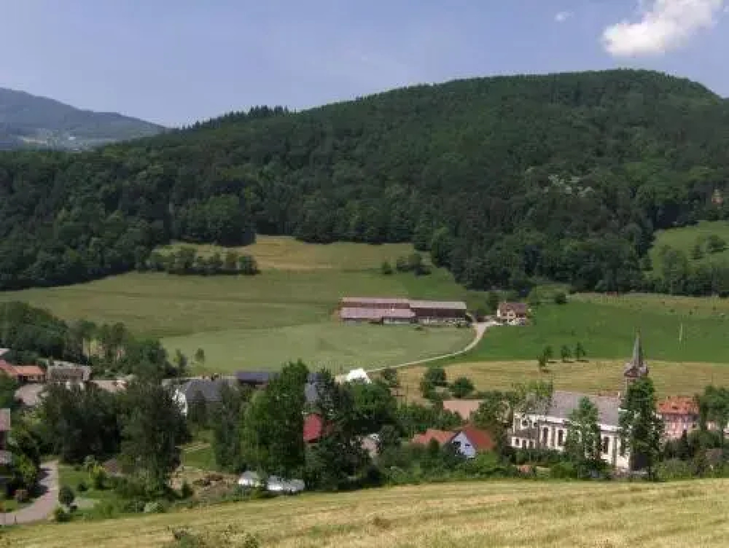 Les Hirondelles