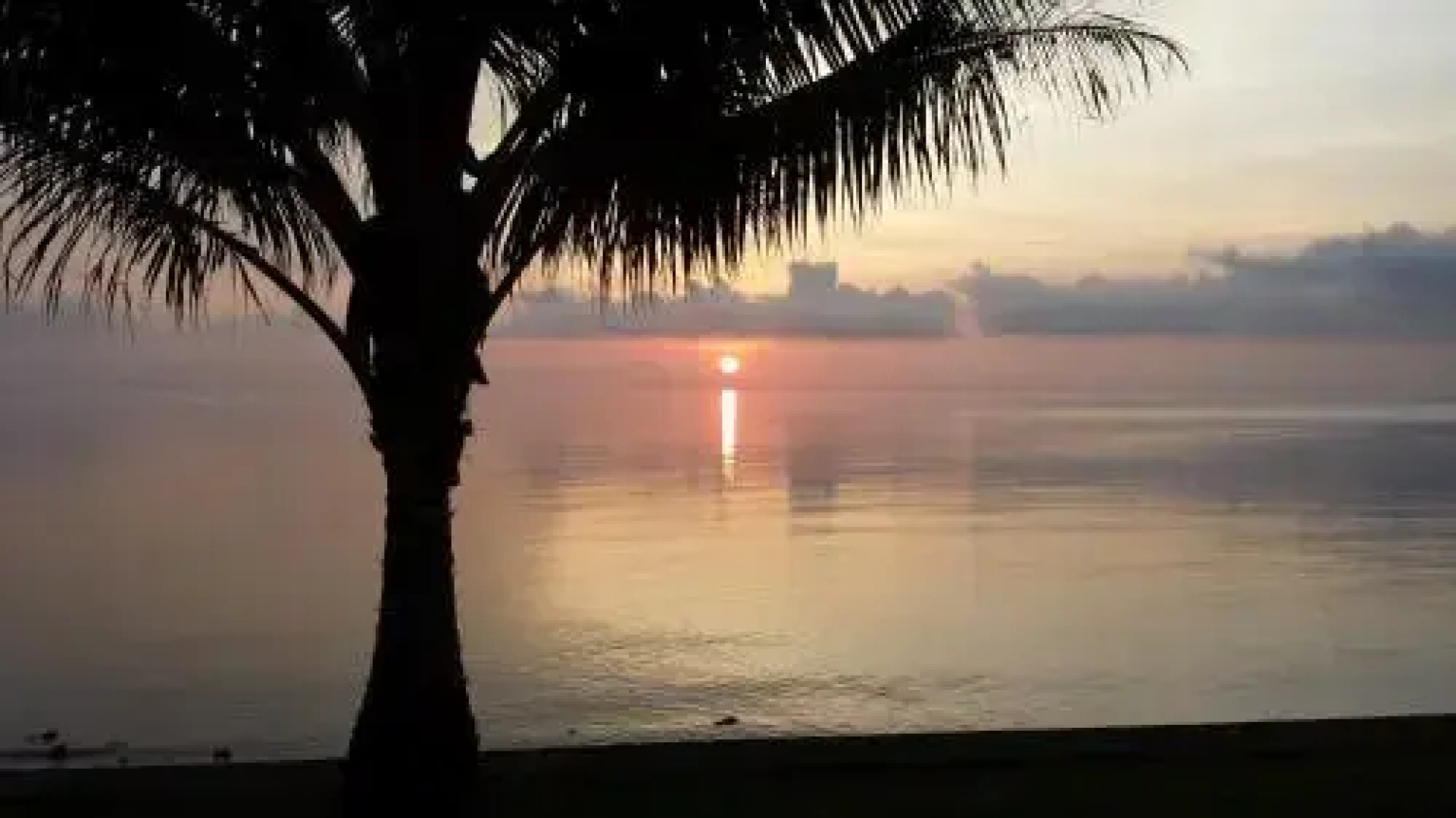 Elvis Presley Boulevarde