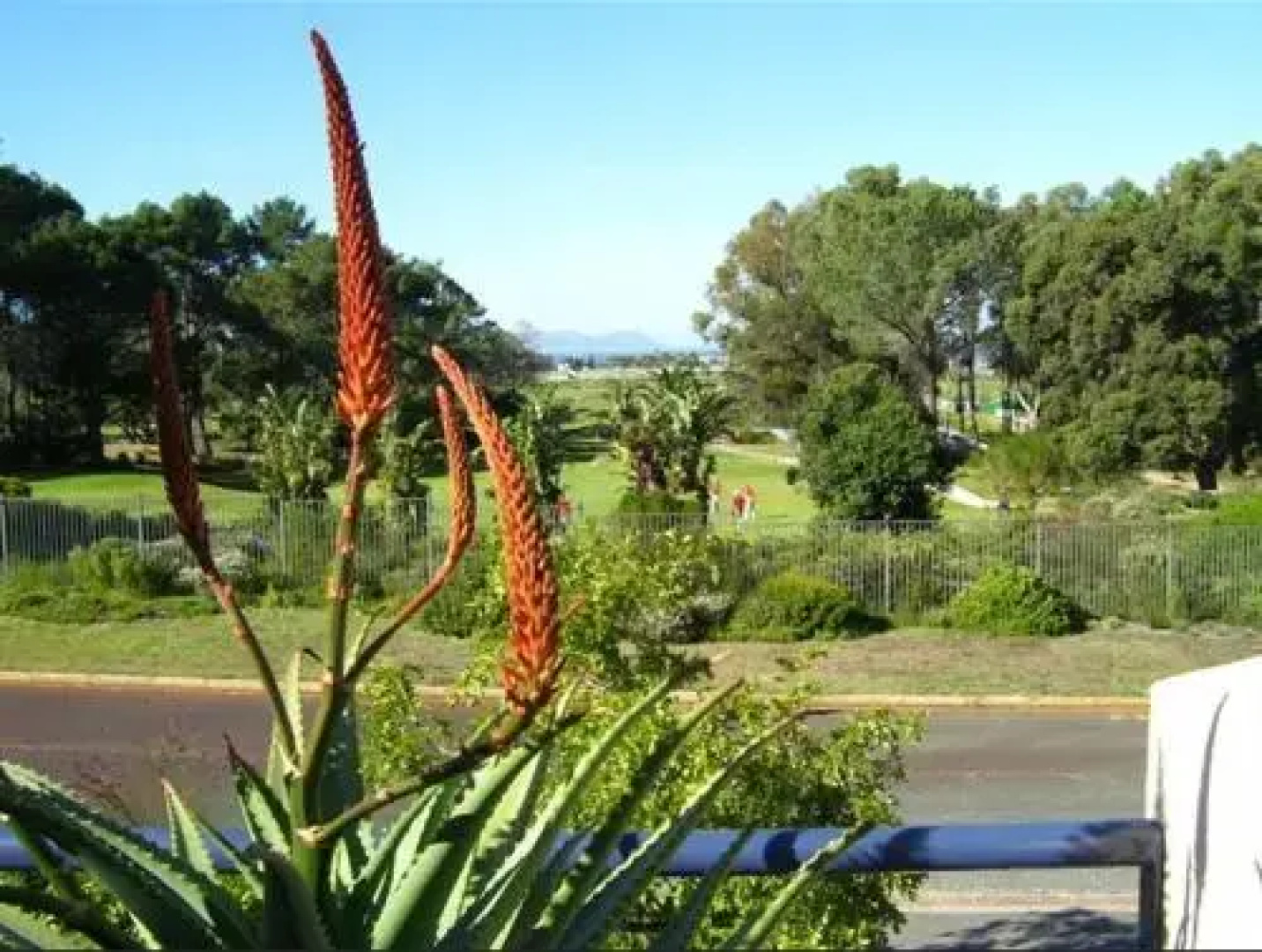Fernkloof Lodge