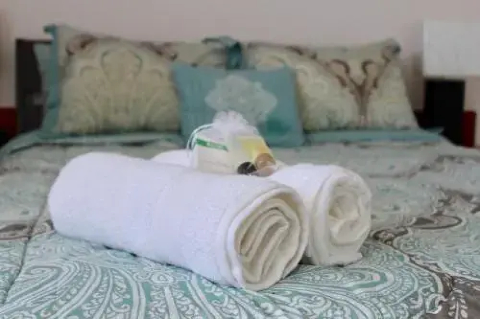 Oceanfront Turtles Nest