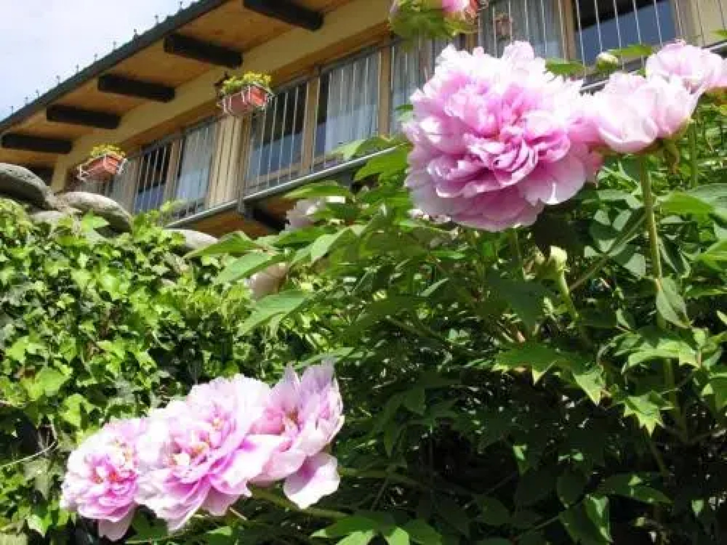 Il Giardino Di Iside