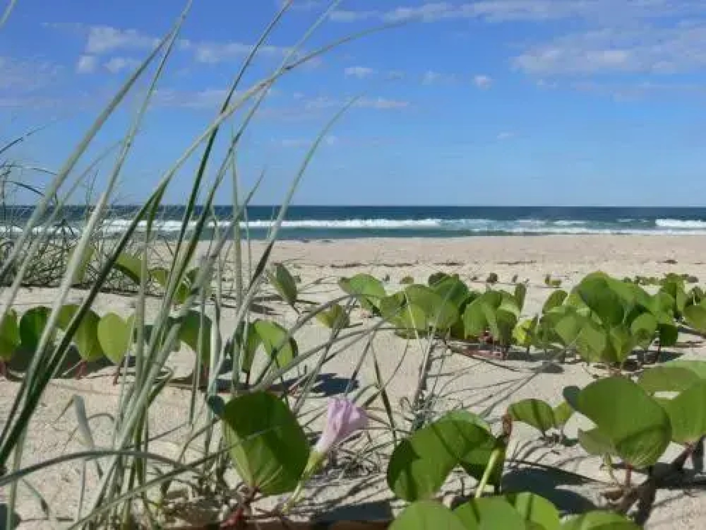 White Waves on the Beach